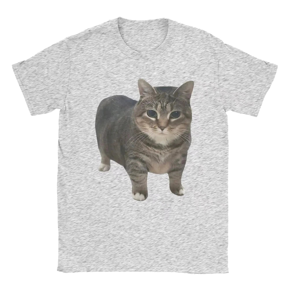New Women OIIA OIIA Spinning Cat Meme T Shirt Funny Brainrot Tops Fashion Short Sleeve Round Neck Tees Female Summer Tee Shirts